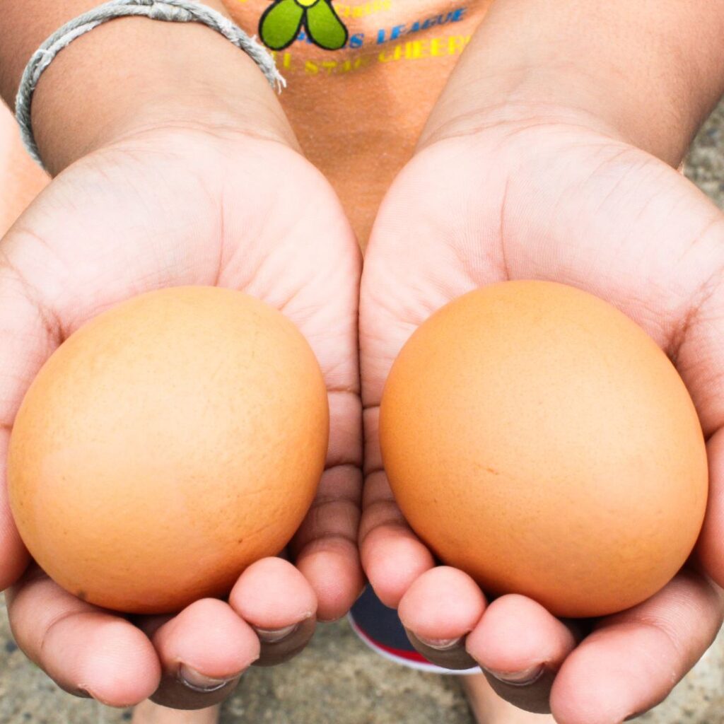 child's hands holding fresh eggs