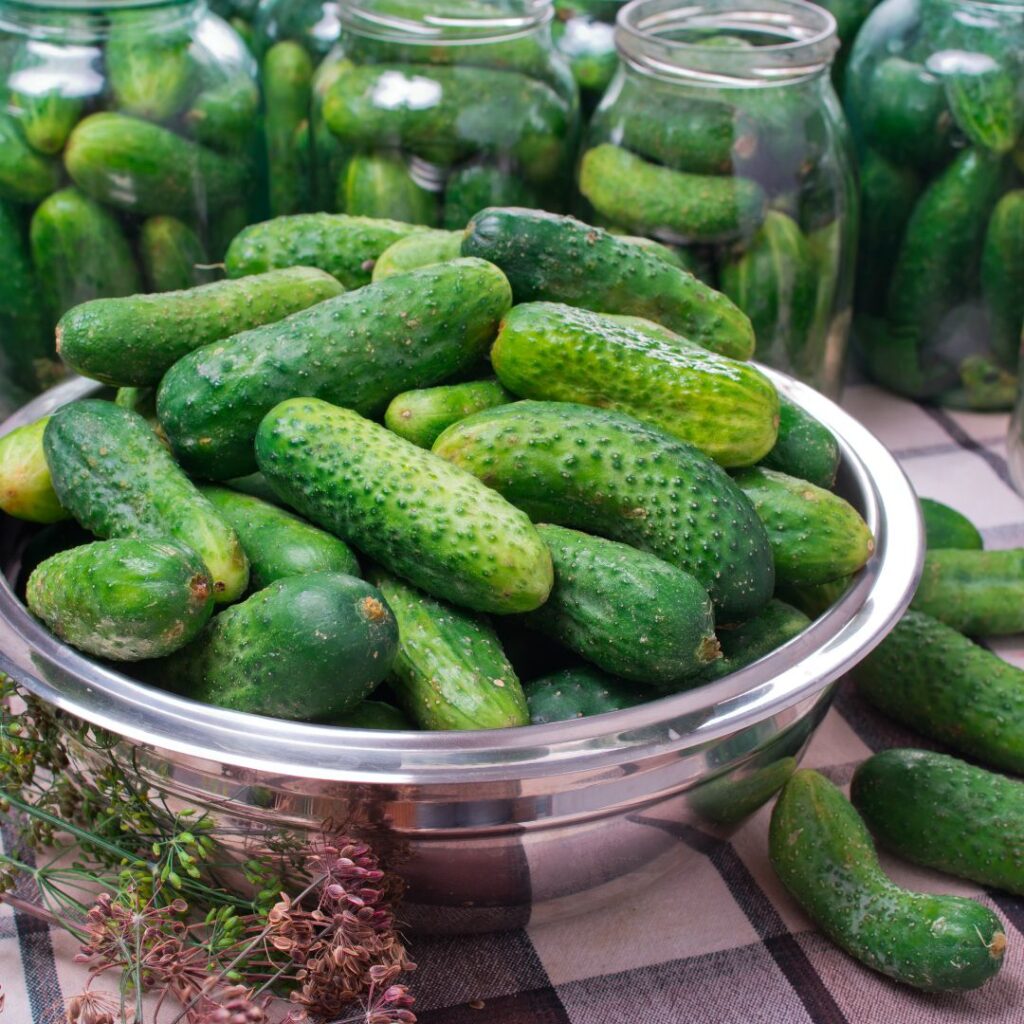 cucumbers in a bowl to be put in canning jars for pickling