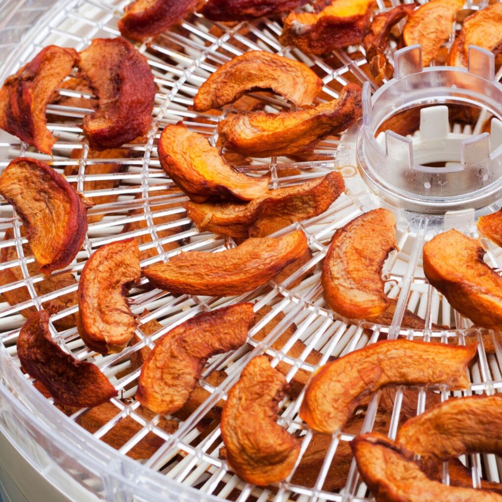 dehydrated sliced peaches in dehydrating tray