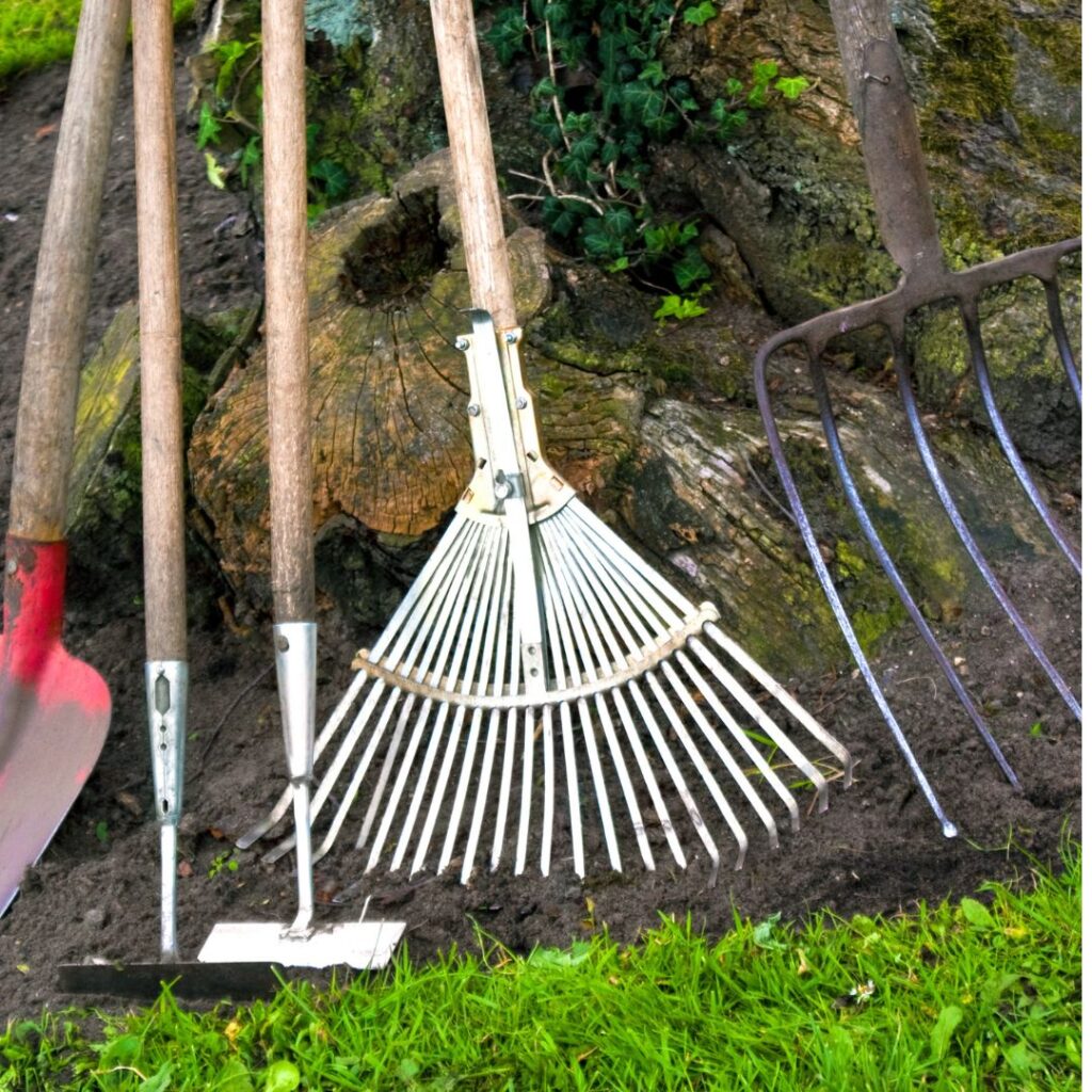 garden rake, hoe, shovel, pitchfork leaning on a tree outdoors