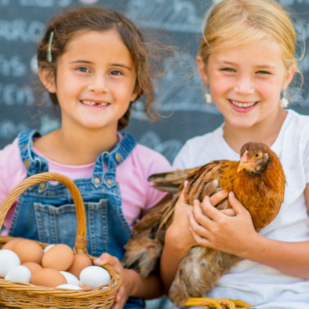 two young girls selling eggs at farmers market, one is holding chicken, the other is holding a basket of brown and white eggs