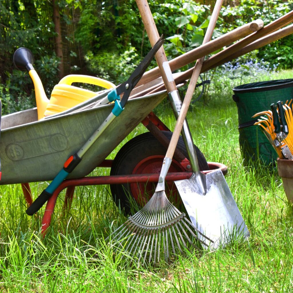 various garden tools placed on a lawn