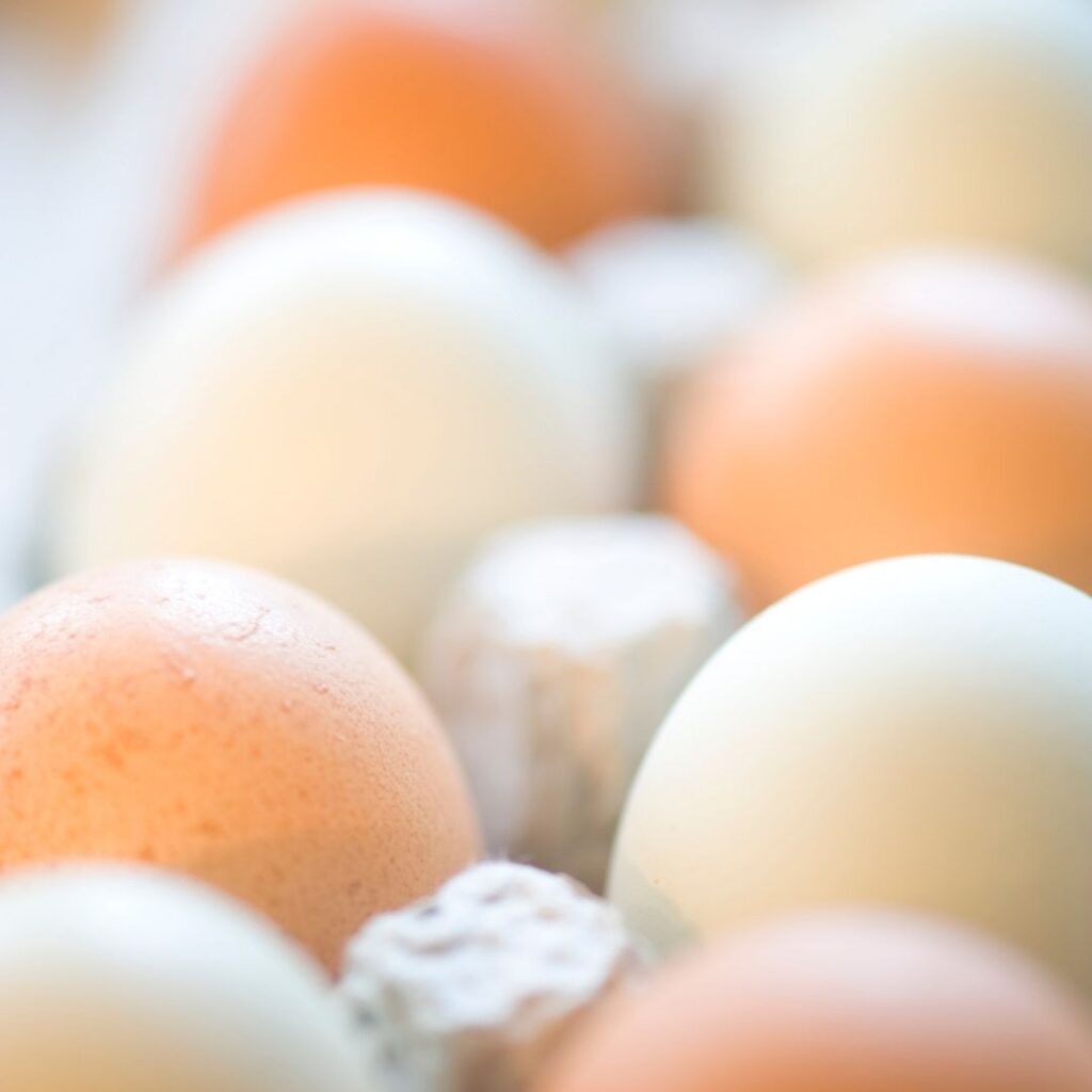 brown, white and light green farm fresh eggs in carton