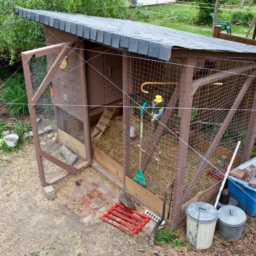 chicken coop in an urban setting
