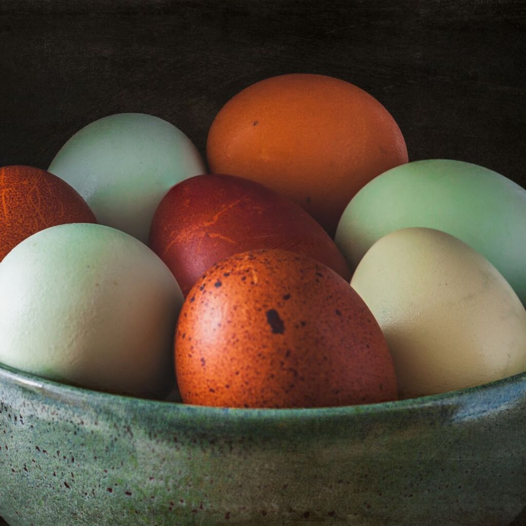 farm fresh eggs in ceramic bowl, smokey pearl chicken egg color