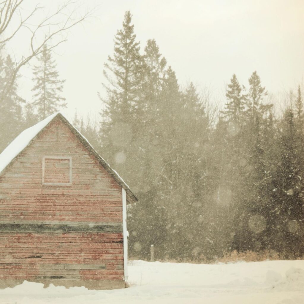 old barn used as chicken coop sitting in field with snow falling