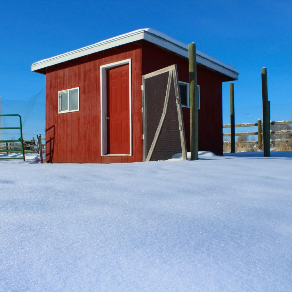 red chicken coop with windows in snow covered field