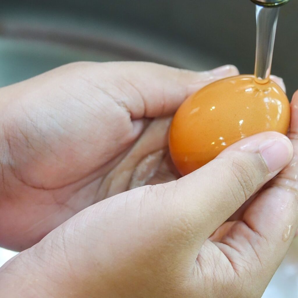 rinsing fresh eggs in cool water