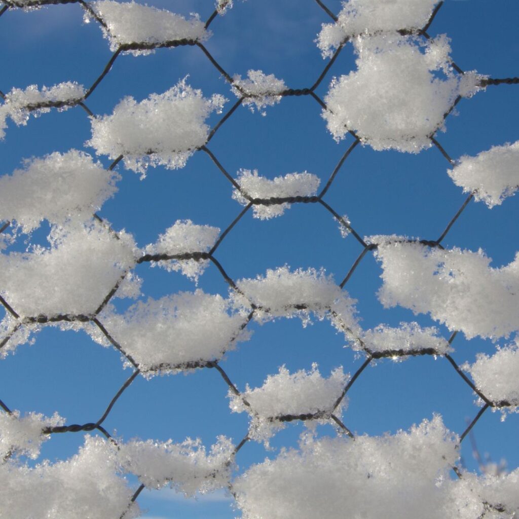 snow on chicken wire with blue sky behind
