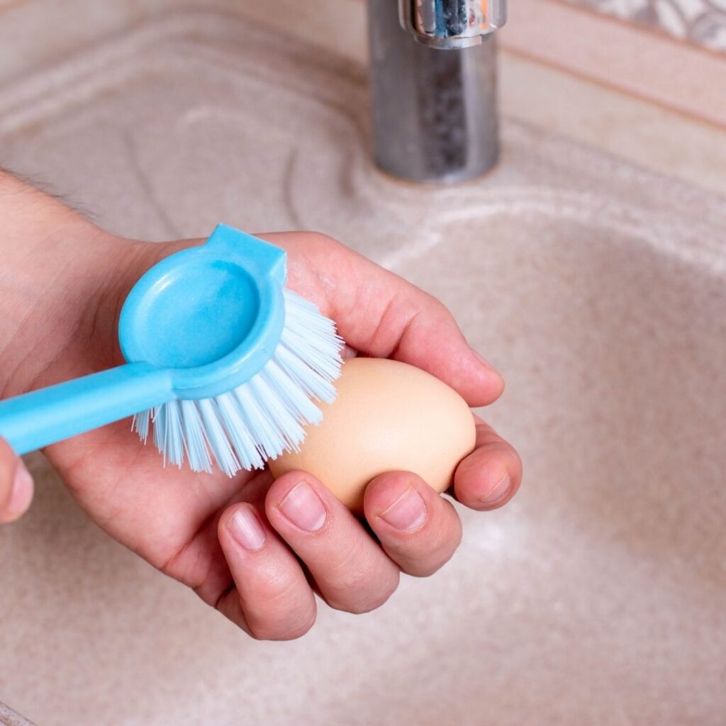 washing eggs with scrubbing tool at sink