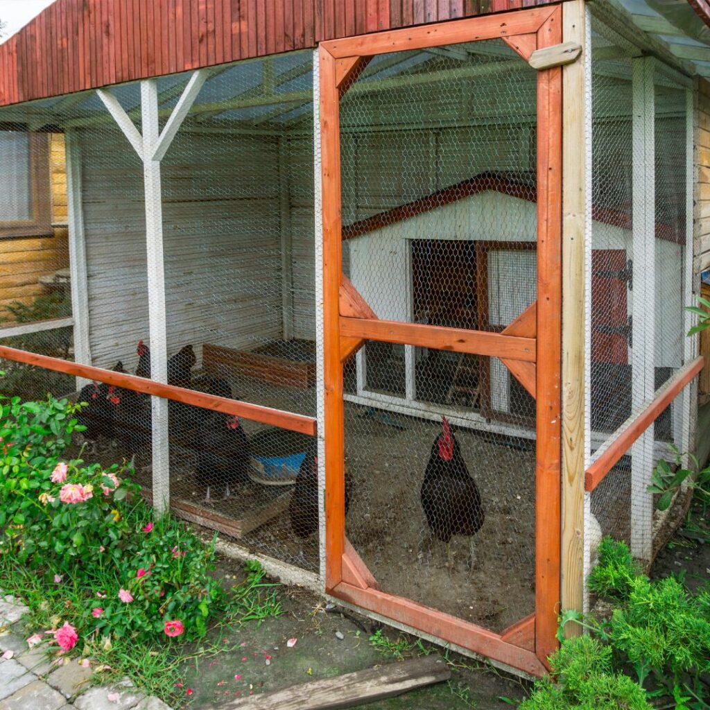 chicken coop constructed inside a pen area