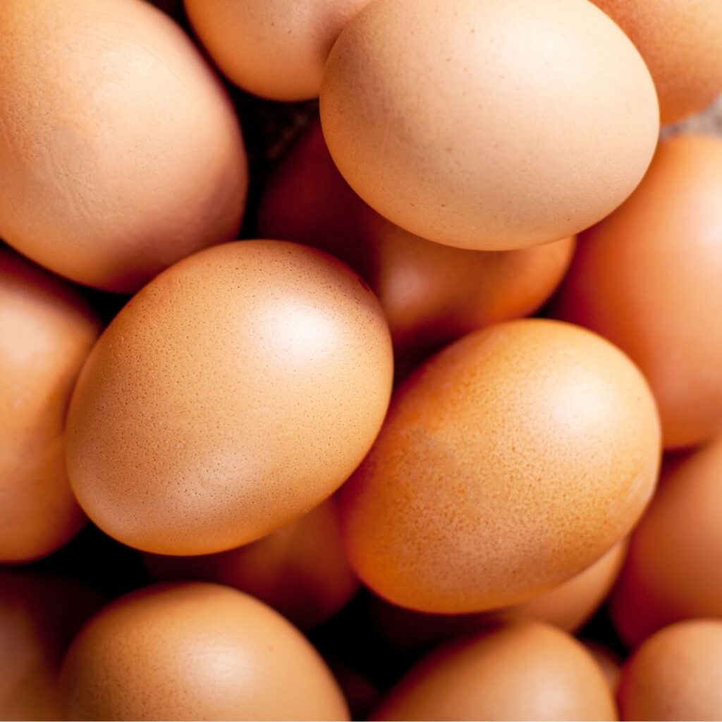 closeup of large brown eggs