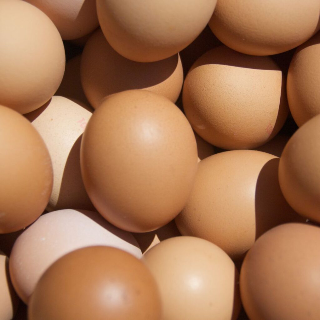 closeup of different shades of brown eggs