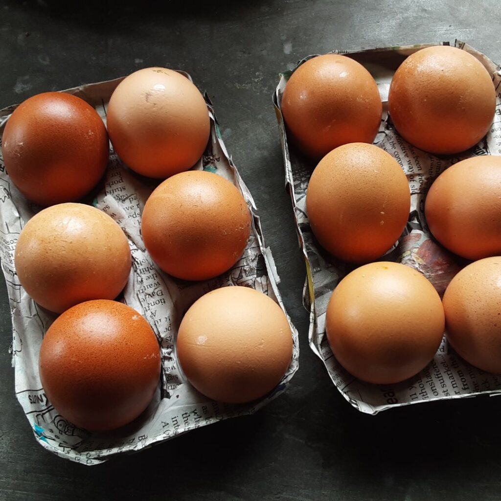 dozen brown eggs extra large eggs