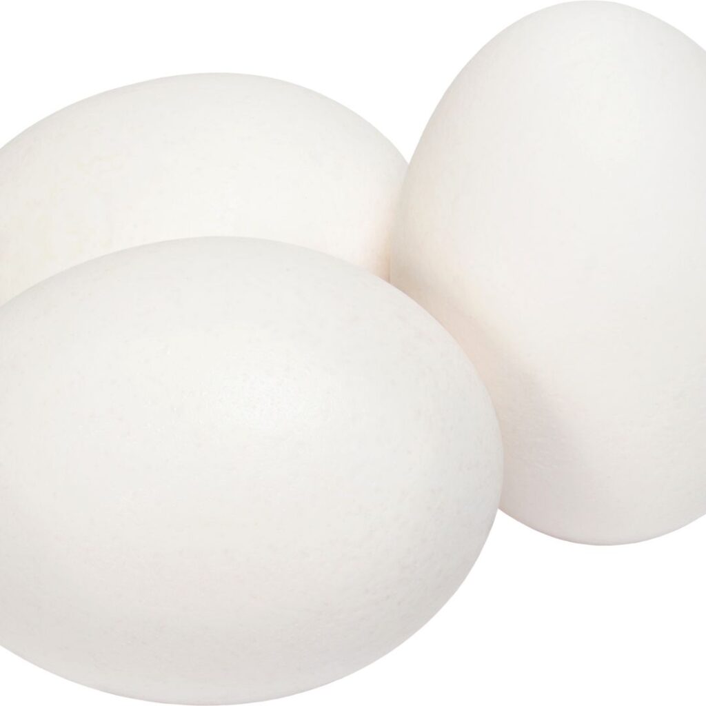 large white eggs