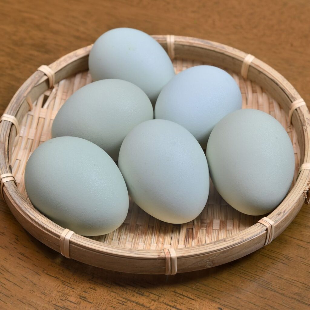 six blue eggs