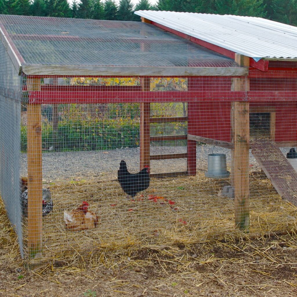 chicken coop, hen house outdoor run 