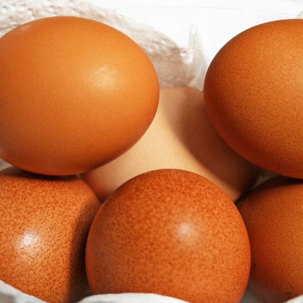 dark brown eggs