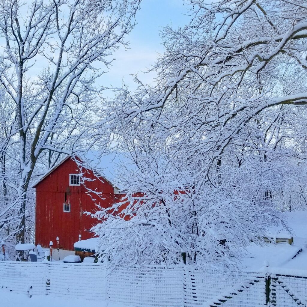 snow covered barn