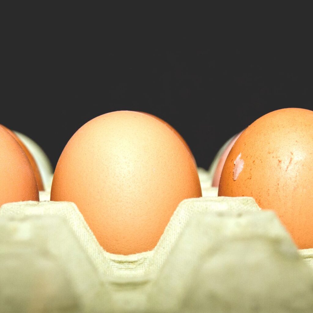 large brown eggs in a carton