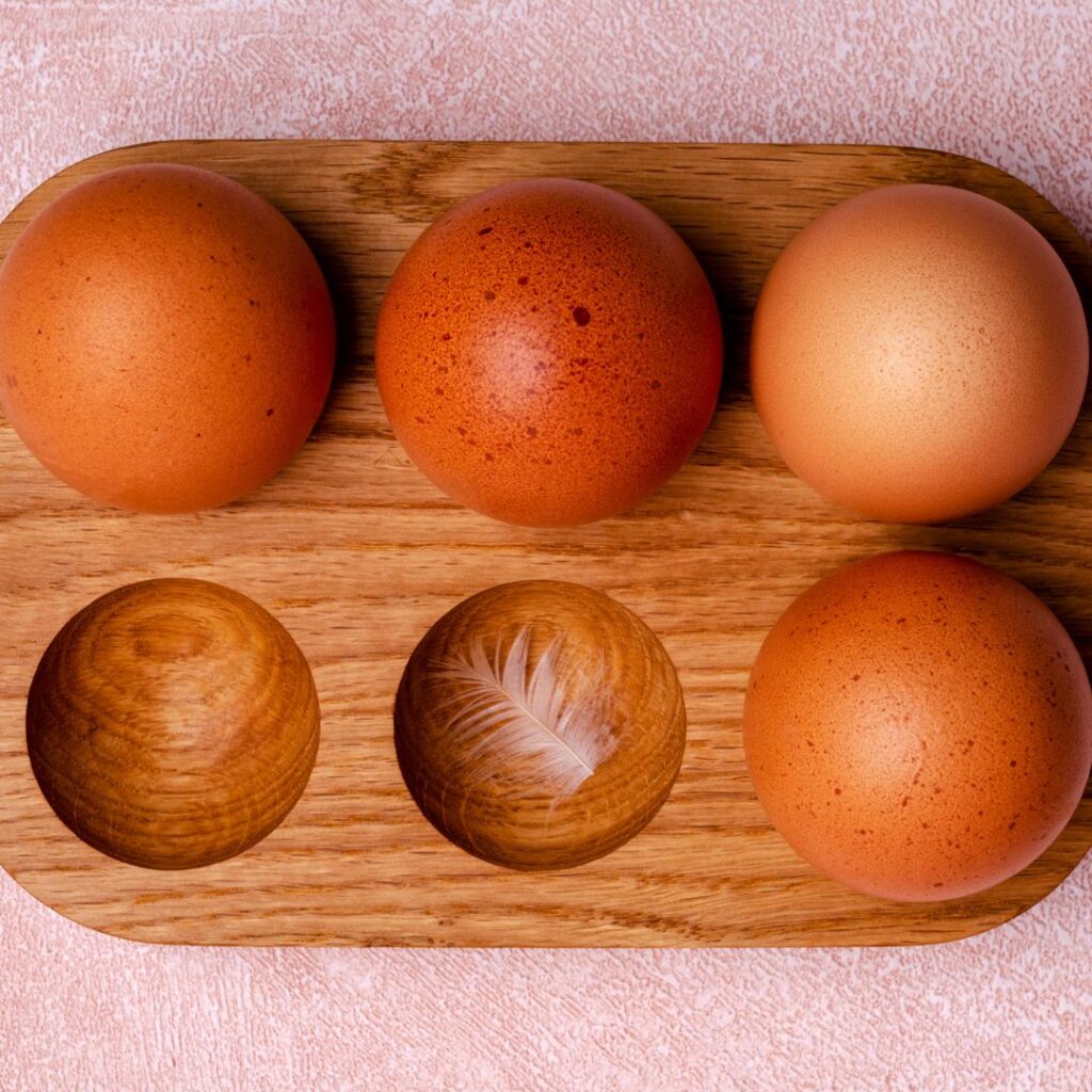 4 dark brown eggs