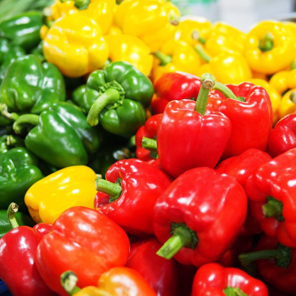 can chickens eat peppers. pic of a variety of colorful bell peppers