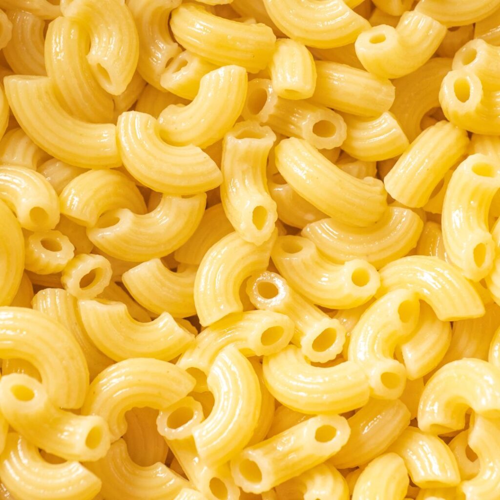 cooked elbow macaroni/ pasta plain
