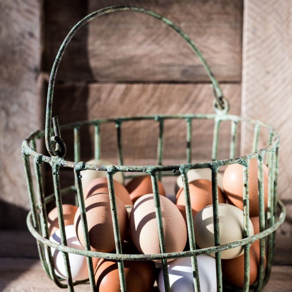 farm fresh eggs in a wire basket