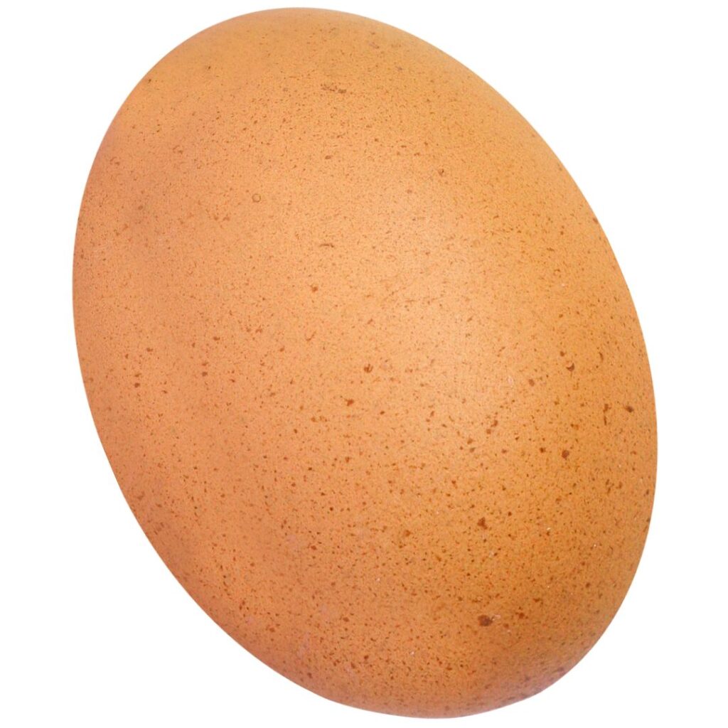 large brown egg