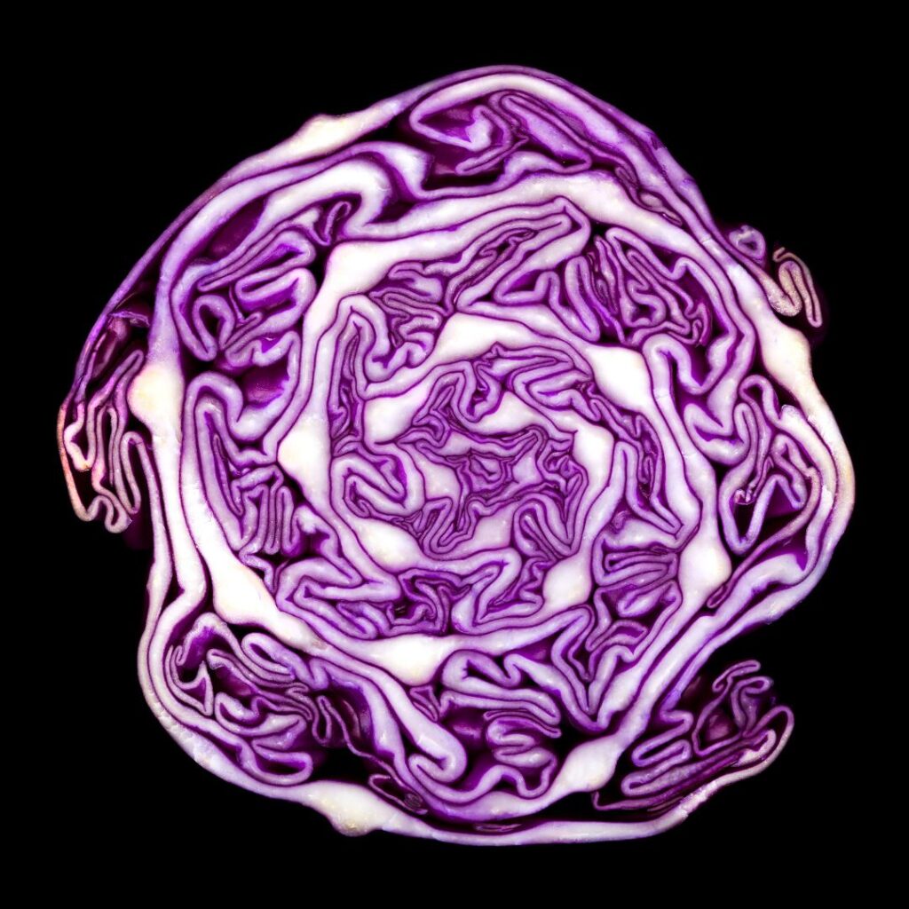 inside of red cabbage