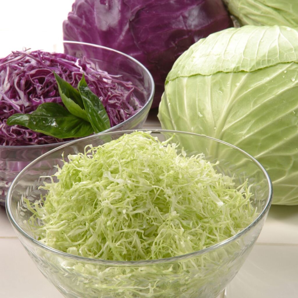 can chickens eat cabbage? yes, chickens can eat cabbage of all types
red and green cabbage