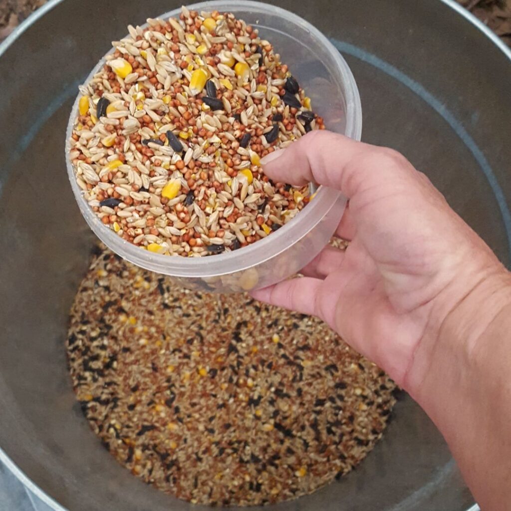 A bowl of chicken scratch grains with sunflower seeds, cracked corn, and other grains