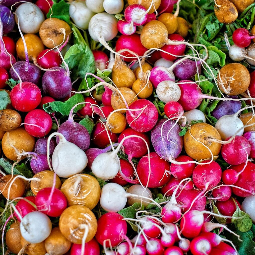 A variety of radishes suitable for chickens, including daikon, watermelon, red and black radishes